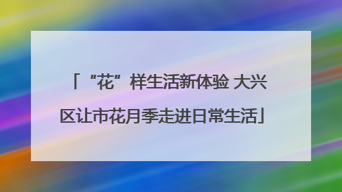 “花”样生活新体验 大兴区让市花月季走进日常生活