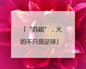 “苏超”，火的不只是足球