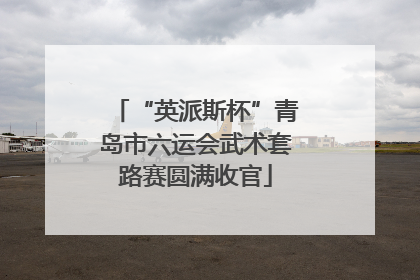 “英派斯杯”青岛市六运会武术套路赛圆满收官