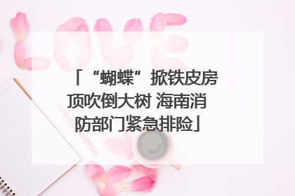 “蝴蝶”掀铁皮房顶吹倒大树 海南消防部门紧急排险