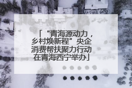 “青海源动力，乡村焕新程”央企消费帮扶聚力行动在青海西宁举办