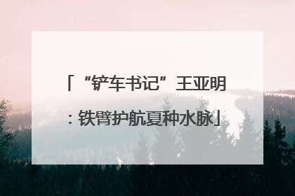 “铲车书记”王亚明：铁臂护航夏种水脉
