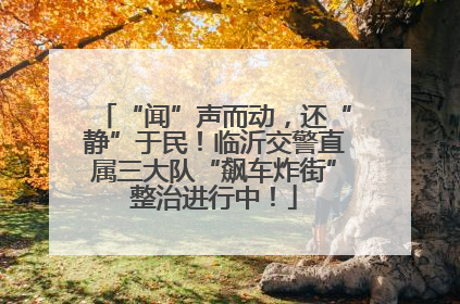 “闻”声而动，还“静”于民！临沂交警直属三大队“飙车炸街”整治进行中！