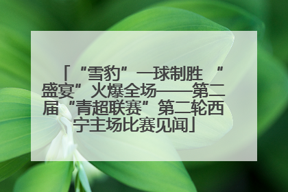 “雪豹”一球制胜 “盛宴”火爆全场——第二届“青超联赛”第二轮西宁主场比赛见闻
