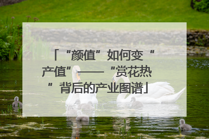 “颜值”如何变“产值”——“赏花热”背后的产业图谱