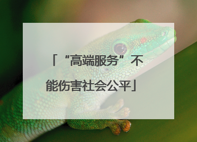 “高端服务”不能伤害社会公平