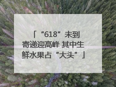“618”未到 寄递迎高峰 其中生鲜水果占“大头”