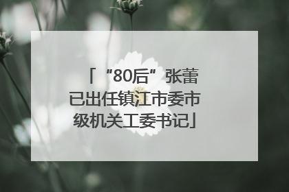 “80后”张蕾已出任镇江市委市级机关工委书记