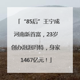 “85后”王宁成河南新首富，23岁创办泡泡玛特，身家1467亿元！
