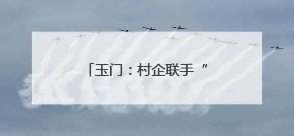 玉门：村企联手“链”出亿元产业 解锁共富“蜜”码