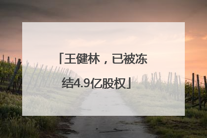 王健林，已被冻结4.9亿股权