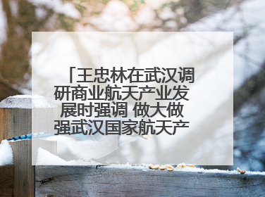 王忠林在武汉调研商业航天产业发展时强调 做大做强武汉国家航天产业基地 打造具有全国影响力的“中国星谷”