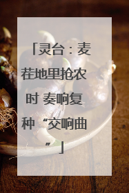 灵台：麦茬地里抢农时 奏响复种“交响曲”