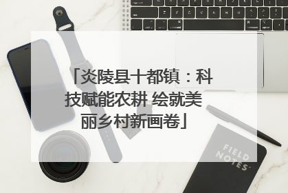 炎陵县十都镇：科技赋能农耕 绘就美丽乡村新画卷