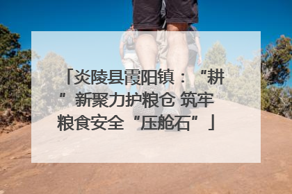 炎陵县霞阳镇：“耕”新聚力护粮仓 筑牢粮食安全“压舱石”