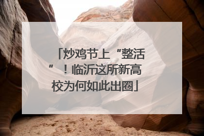 炒鸡节上“整活”！临沂这所新高校为何如此出圈
