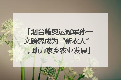 烟台籍奥运冠军孙一文跨界成为“新农人”，助力家乡农业发展