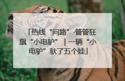 热线“问路”·管管狂飙“小电驴”｜一辆“小电驴”驮了五个娃