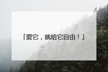 爱它，就给它自由！