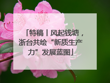 特稿丨风起钱塘，浙台共绘“新质生产力”发展蓝图