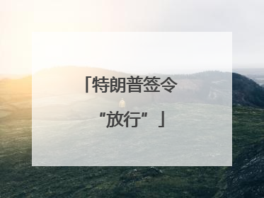 特朗普签令“放行”