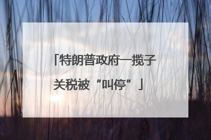特朗普政府一揽子关税被“叫停”