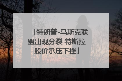 特朗普-马斯克联盟出现分裂 特斯拉股价承压下挫