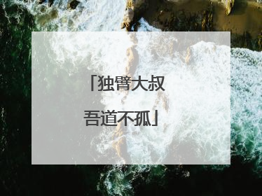 独臂大叔 吾道不孤