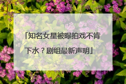 知名女星被曝拍戏不肯下水？剧组最新声明