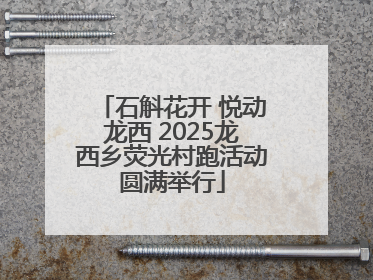 石斛花开 悦动龙西 2025龙西乡荧光村跑活动圆满举行