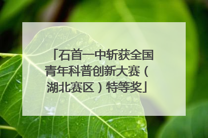 石首一中斩获全国青年科普创新大赛（湖北赛区）特等奖