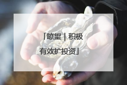 瞭望｜积极有效扩投资