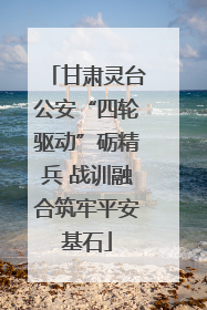 甘肃灵台公安“四轮驱动”砺精兵 战训融合筑牢平安基石
