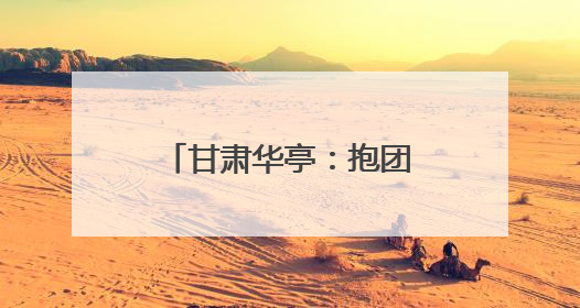 甘肃华亭：抱团“蔬”写菜文章 聚力拓宽致富路