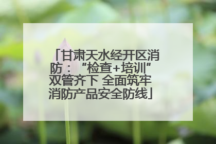 甘肃天水经开区消防：“检查+培训”双管齐下 全面筑牢消防产品安全防线