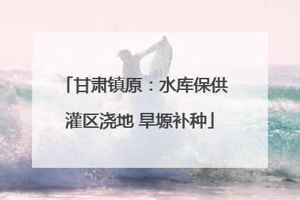 甘肃镇原：水库保供 灌区浇地 旱塬补种