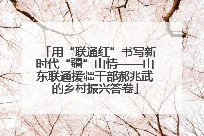 用“联通红”书写新时代“疆”山情——山东联通援疆干部郝兆武的乡村振兴答卷