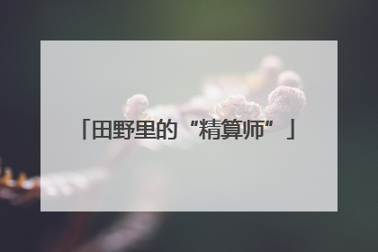 田野里的“精算师”