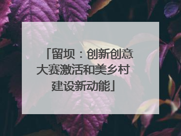 留坝：创新创意大赛激活和美乡村建设新动能