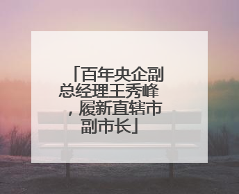 百年央企副总经理王秀峰，履新直辖市副市长