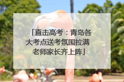 直击高考：青岛各大考点送考氛围拉满 老师家长齐上阵