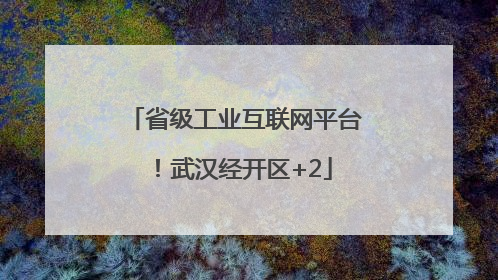 省级工业互联网平台！武汉经开区+2