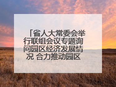 省人大常委会举行联组会议专题询问园区经济发展情况 合力推动园区经济高质量发展 王宁主持会议并讲话 王予波带队到会应询