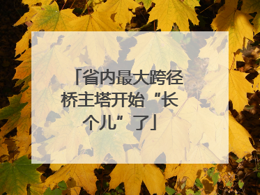 省内最大跨径桥主塔开始“长个儿”了