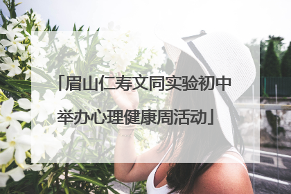 眉山仁寿文同实验初中举办心理健康周活动