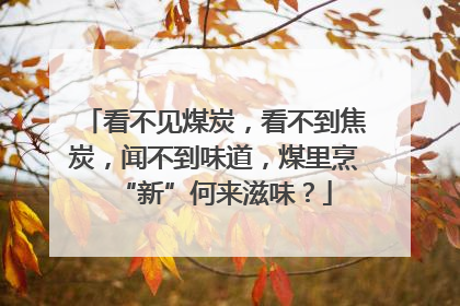 看不见煤炭，看不到焦炭，闻不到味道，煤里烹“新”何来滋味？