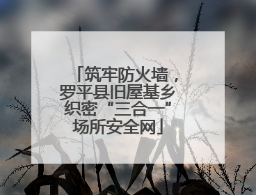 筑牢防火墙，罗平县旧屋基乡织密“三合一”场所安全网