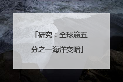 研究：全球逾五分之一海洋变暗