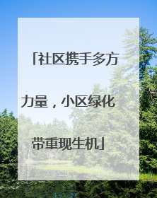 社区携手多方力量，小区绿化带重现生机