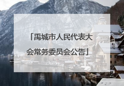 禹城市人民代表大会常务委员会公告